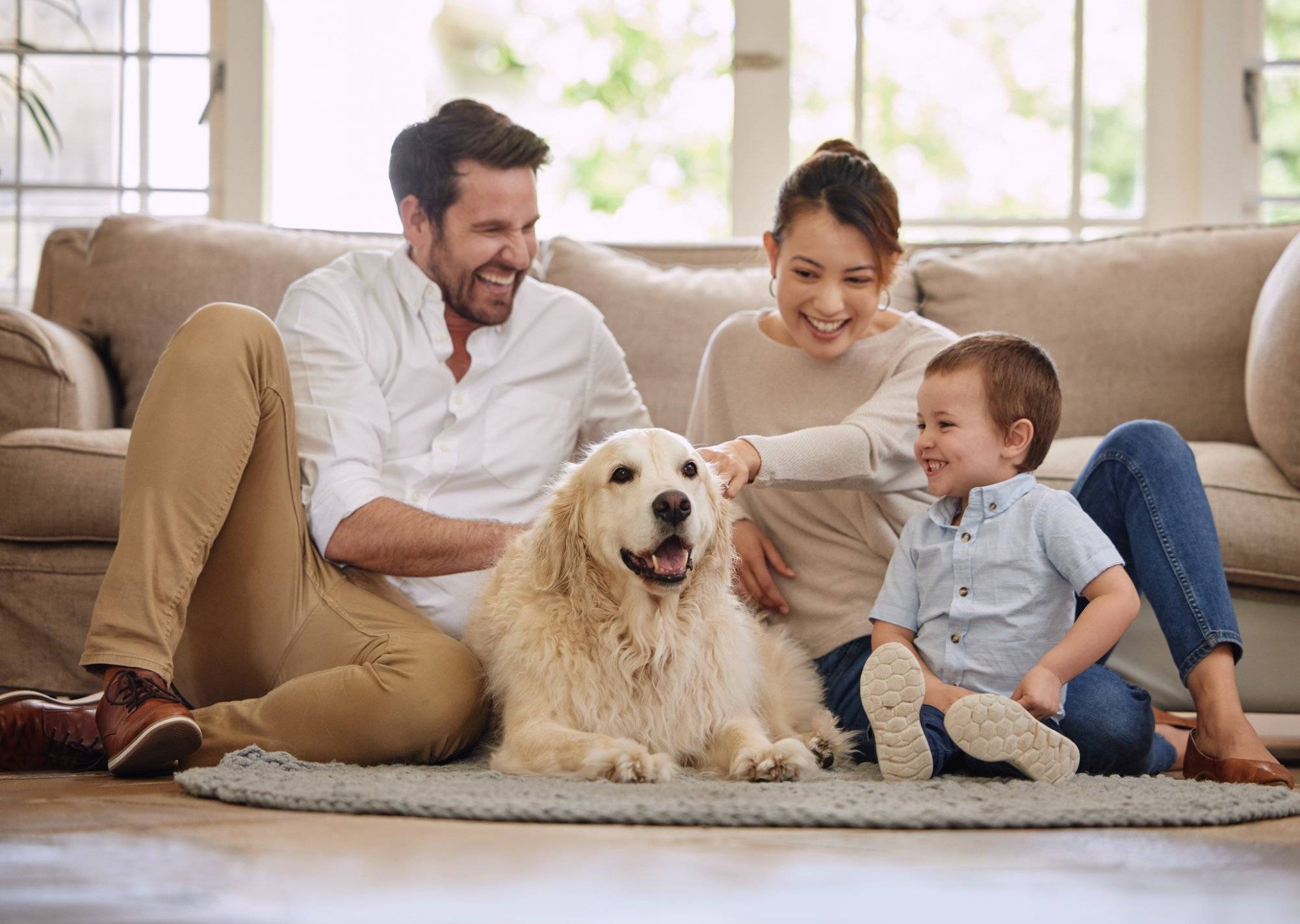 Trust Your Pet’s Health to Family Friends Vet Hospital Frisco Trust Your Pet's Health to Family Friends Vet Hospital Frisco